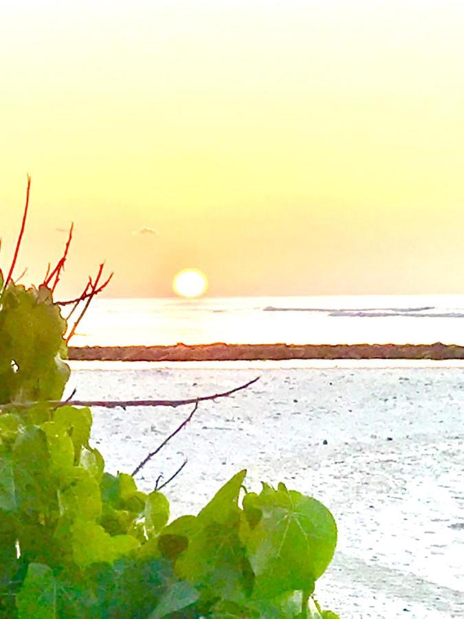 Malas Island View フリドゥ エクステリア 写真
